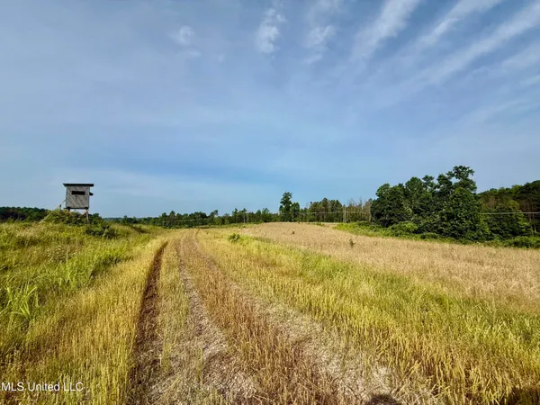 $649,000 | 385 Albert McMillin Road, Louisville, MS 39339