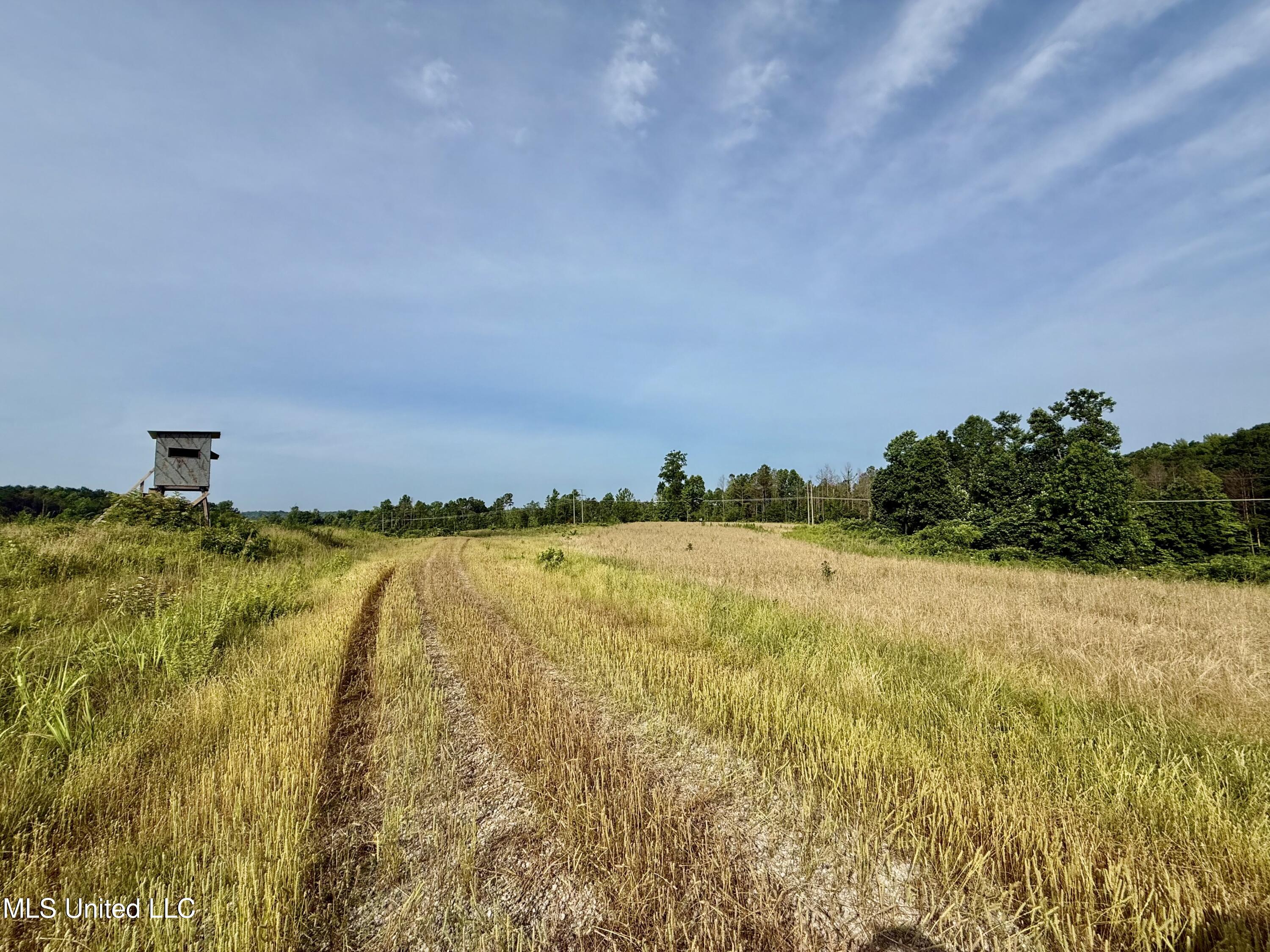 385 Albert McMillin Road Louisville, MS 39339 - Photo 24 of 40 IMG_5666