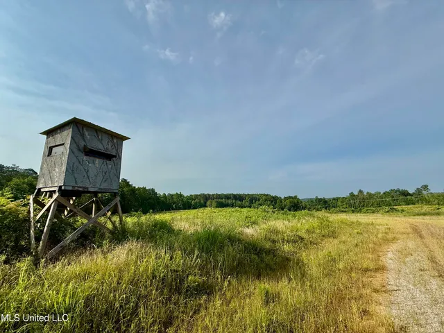 $649,000 | 385 Albert McMillin Road, Louisville, MS 39339