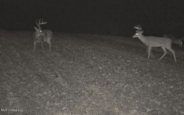 $649,000 | 385 Albert McMillin Road, Louisville, MS 39339