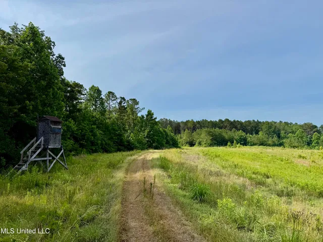 $649,000 | 385 Albert McMillin Road, Louisville, MS 39339