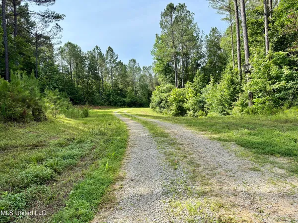 $649,000 | 385 Albert McMillin Road, Louisville, MS 39339