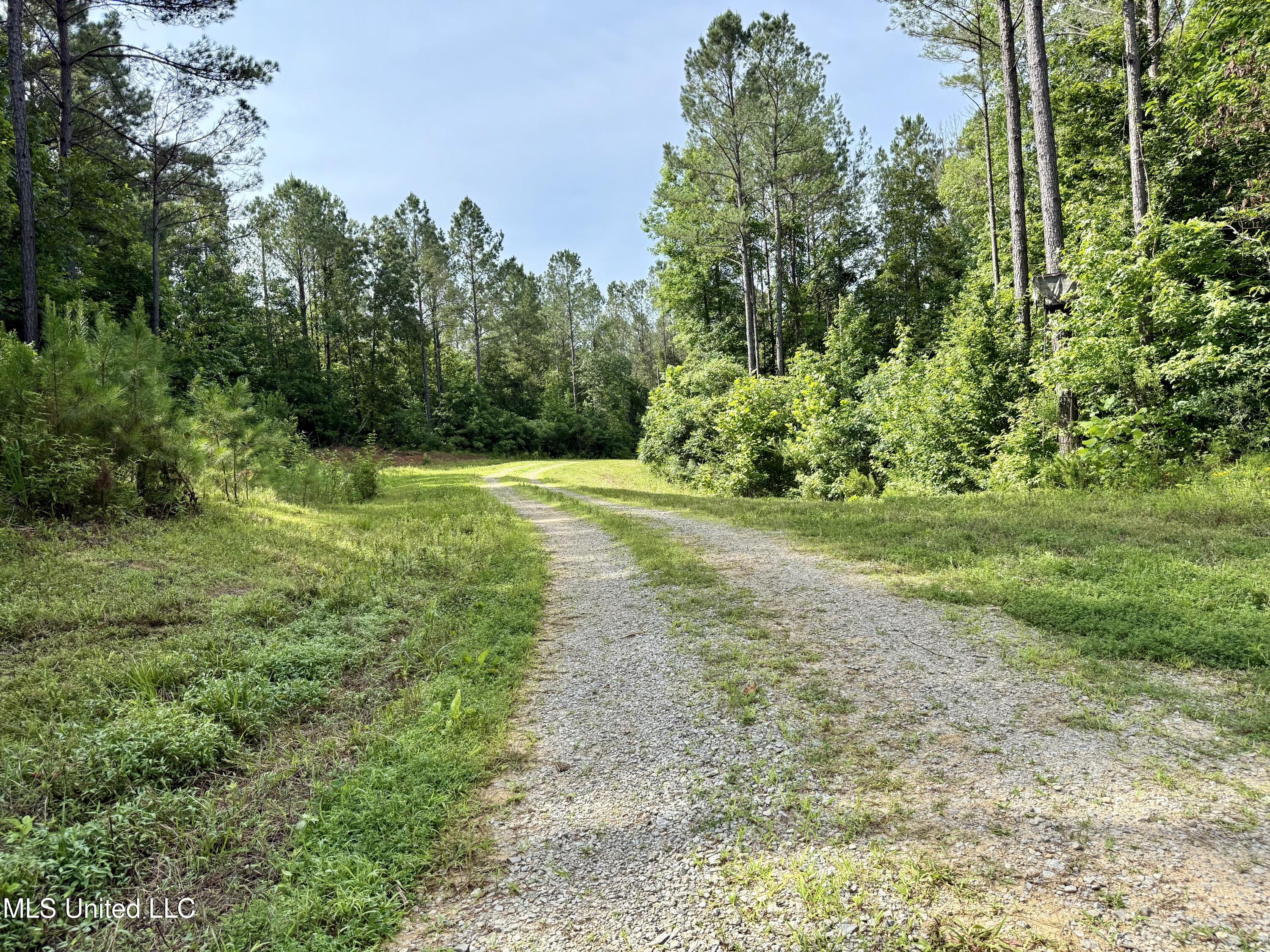 385 Albert McMillin Road Louisville, MS 39339 - Photo 29 of 40 IMG_5766