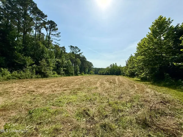 $649,000 | 385 Albert McMillin Road, Louisville, MS 39339