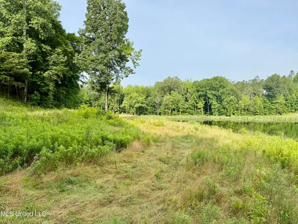 $649,000 | 385 Albert McMillin Road, Louisville, MS 39339