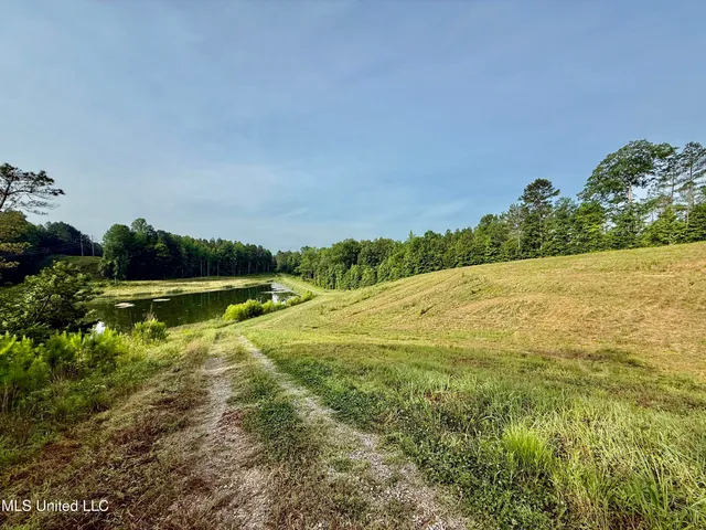 $649,000 | 385 Albert McMillin Road, Louisville, MS 39339