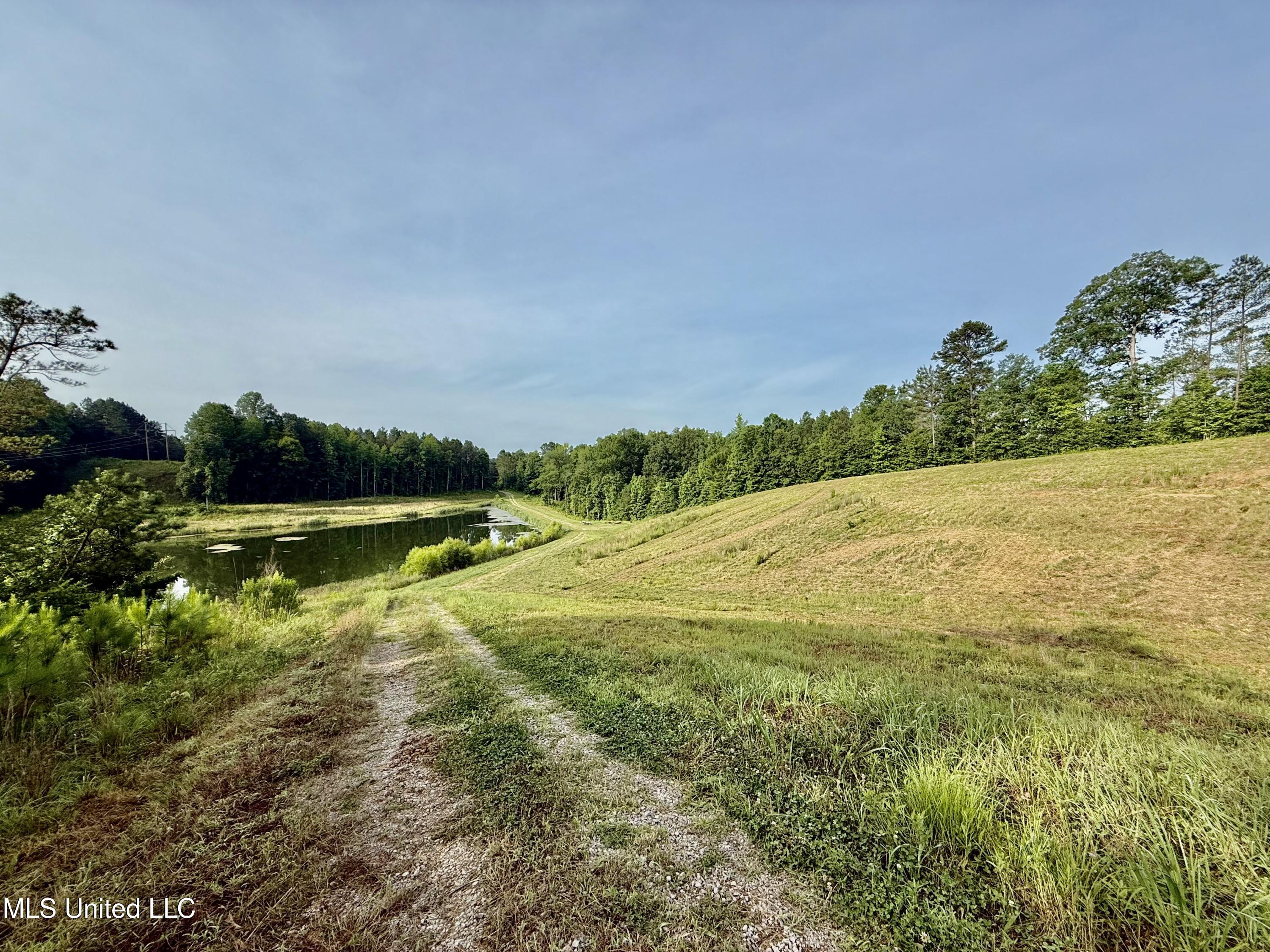 385 Albert McMillin Road Louisville, MS 39339 - Photo 32 of 40 IMG_5638