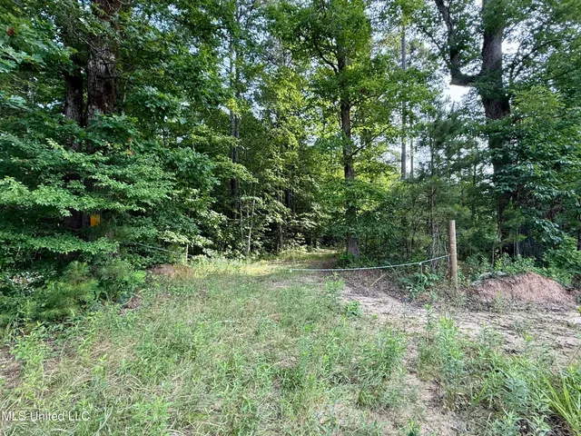 $649,000 | 385 Albert McMillin Road, Louisville, MS 39339