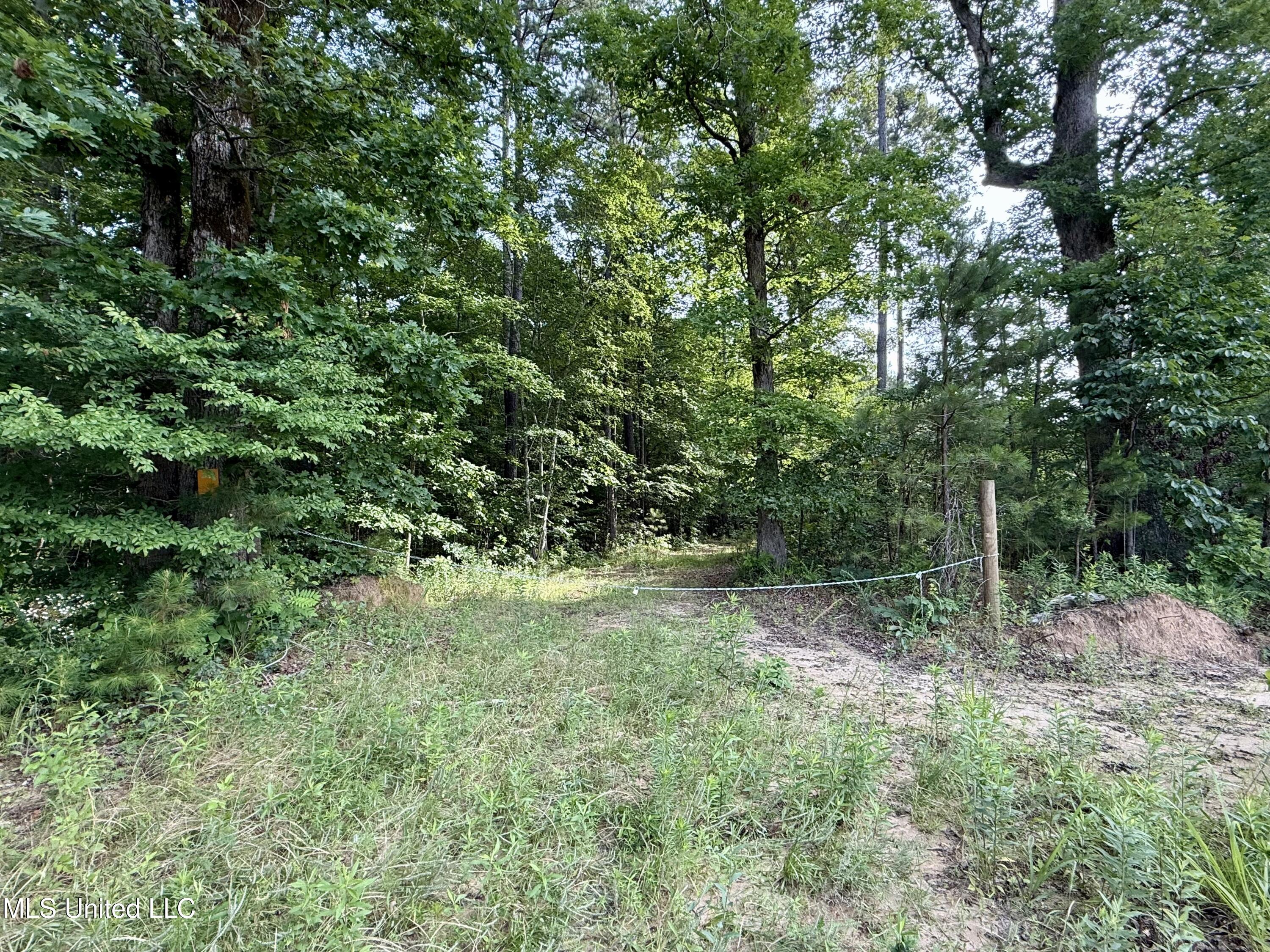 385 Albert McMillin Road Louisville, MS 39339 - Photo 33 of 40 IMG_5649