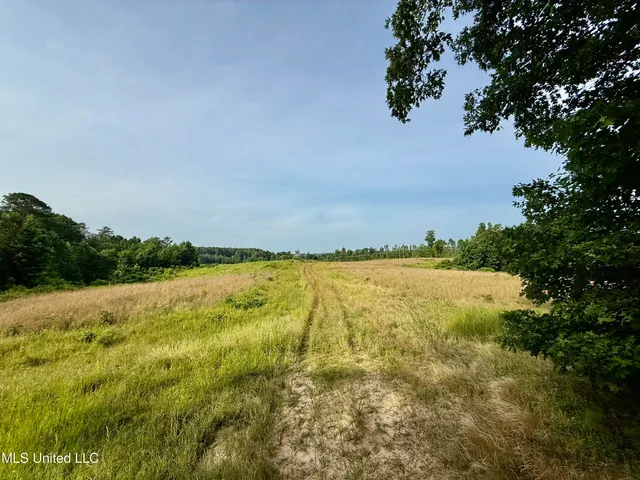 $649,000 | 385 Albert McMillin Road, Louisville, MS 39339