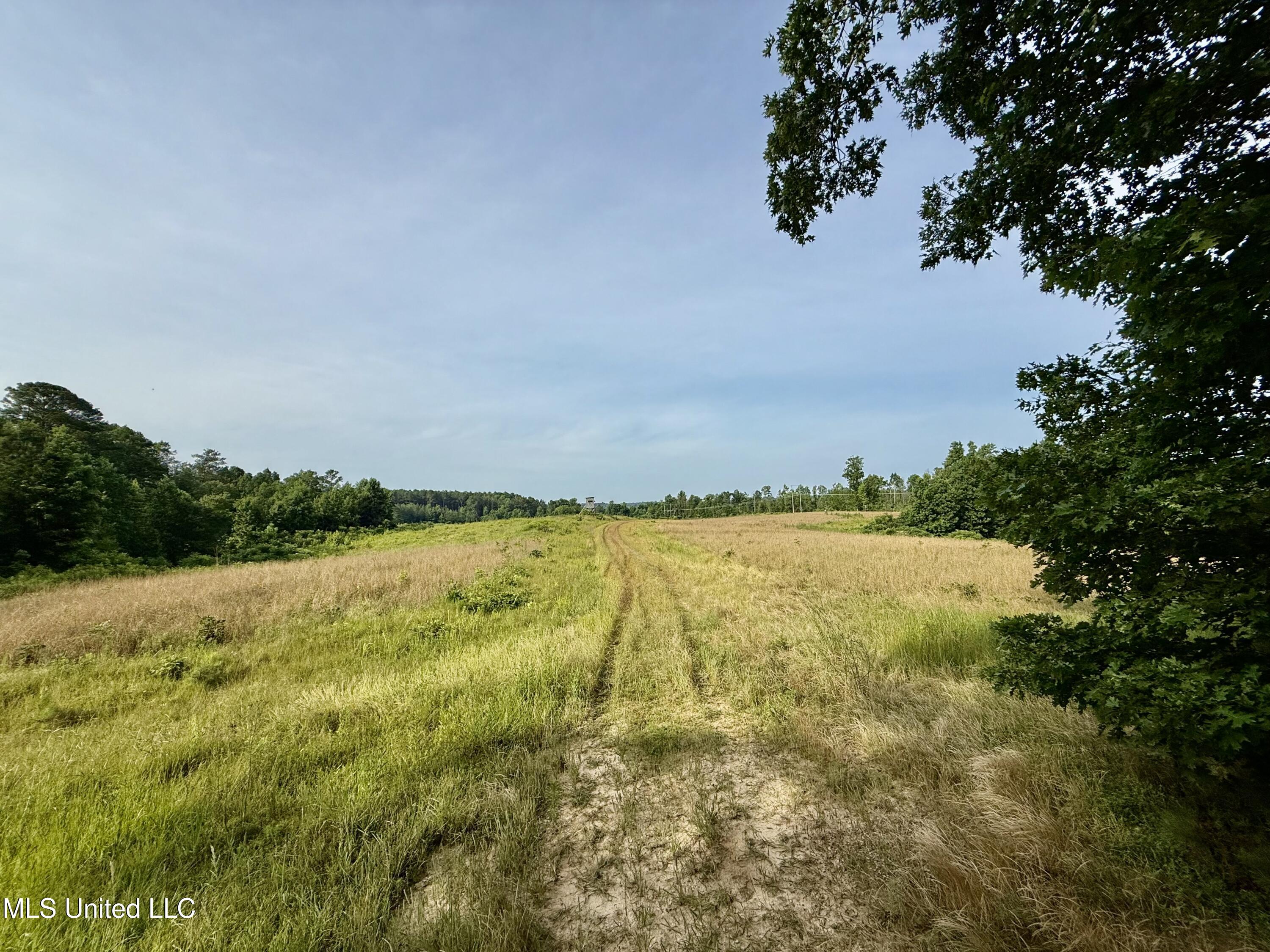 385 Albert McMillin Road Louisville, MS 39339 - Photo 34 of 40 IMG_5658