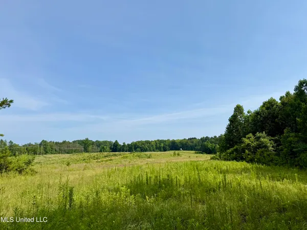 $649,000 | 385 Albert McMillin Road, Louisville, MS 39339