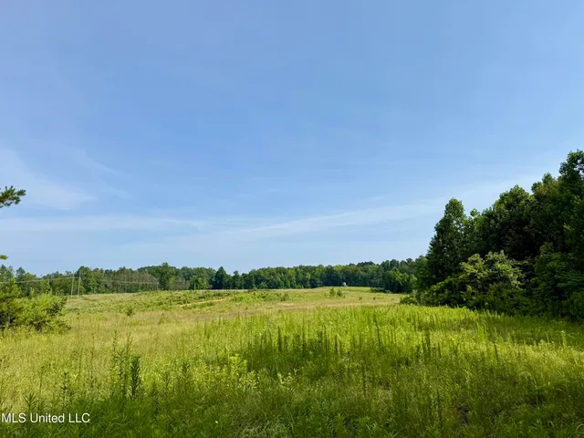 $649,000 | 385 Albert McMillin Road, Louisville, MS 39339