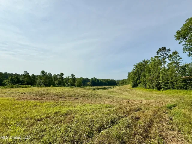 $649,000 | 385 Albert McMillin Road, Louisville, MS 39339