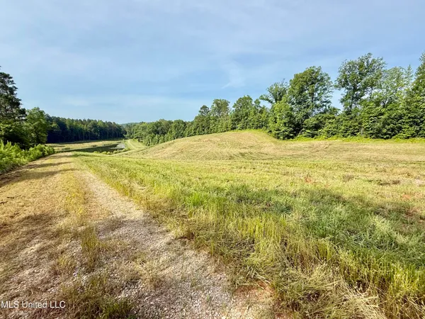 $649,000 | 385 Albert McMillin Road, Louisville, MS 39339