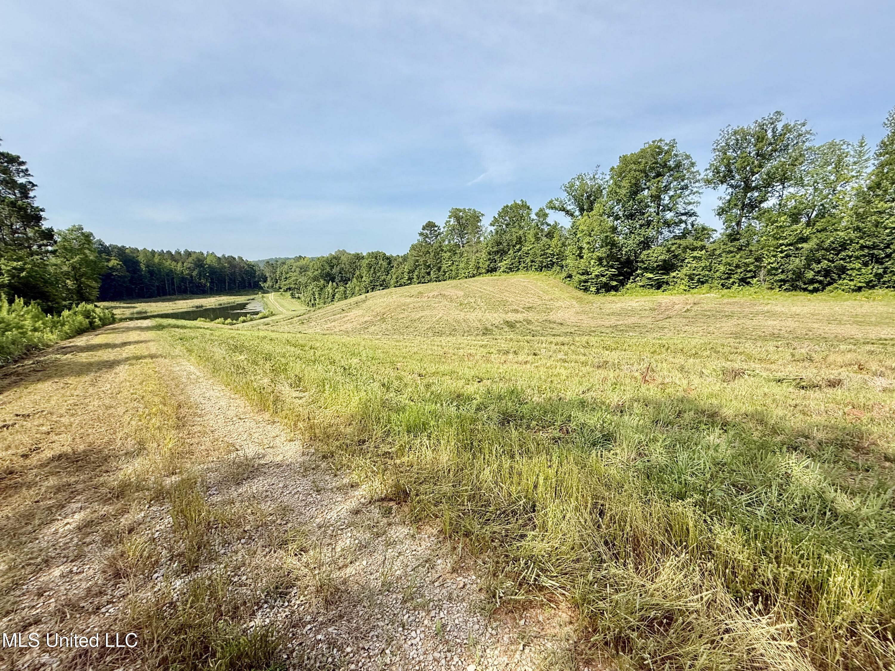 385 Albert McMillin Road Louisville, MS 39339 - Photo 40 of 40 IMG_5708