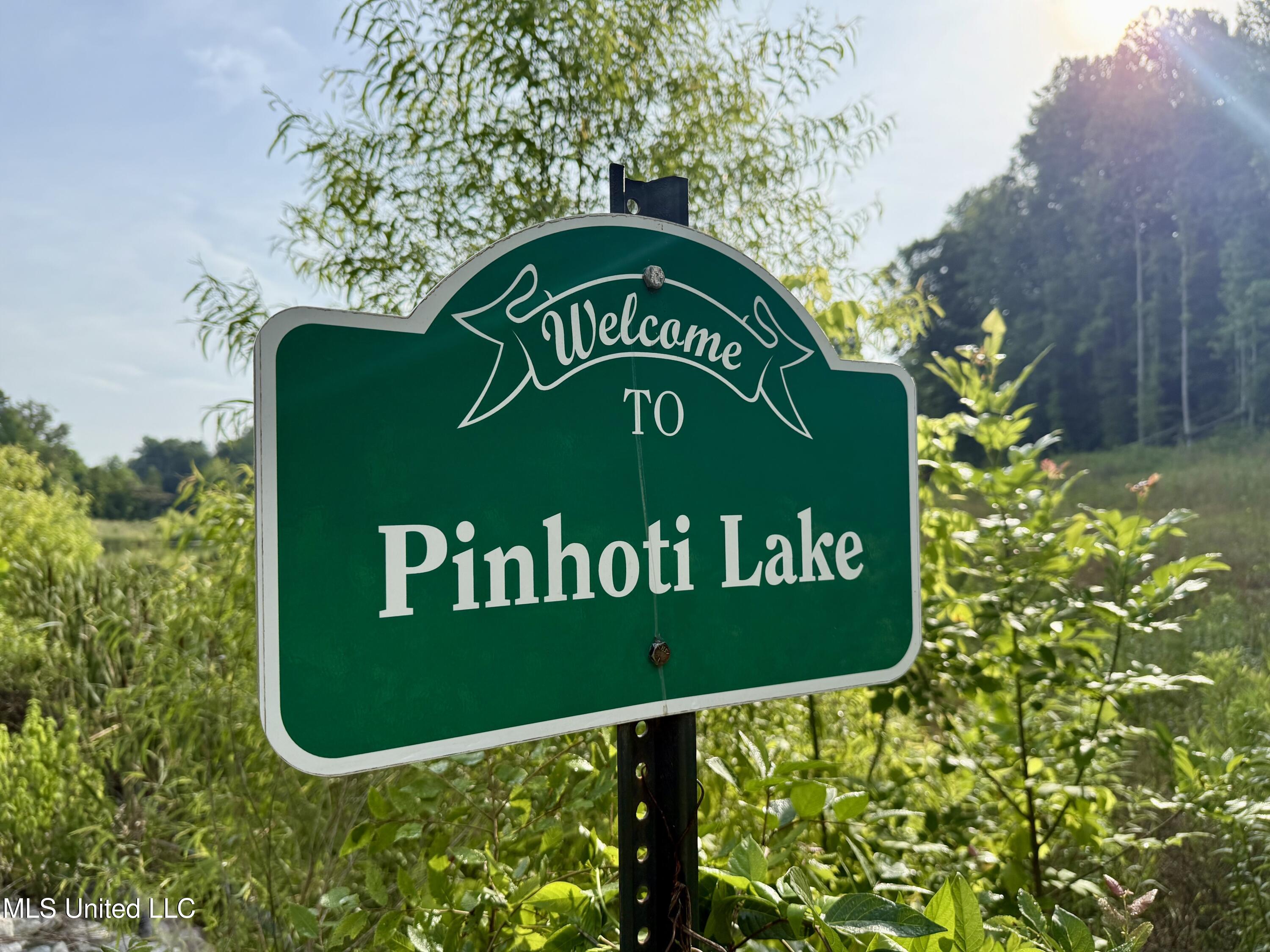 385 Albert McMillin Road Louisville, MS 39339 - Photo 4 of 40 IMG_5619