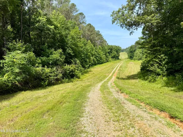 $649,000 | 385 Albert McMillin Road, Louisville, MS 39339