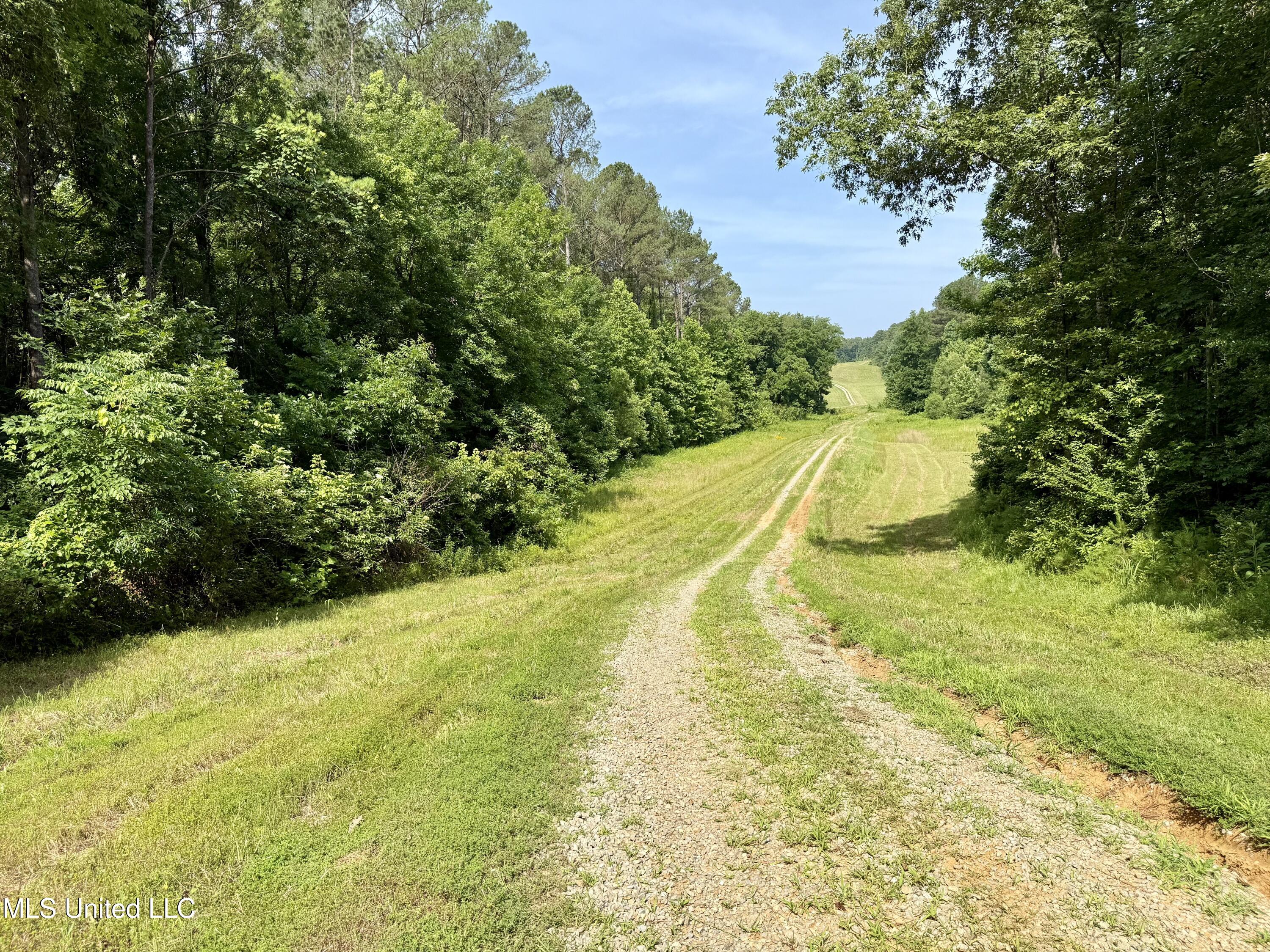 385 Albert McMillin Road Louisville, MS 39339 - Photo 6 of 40 IMG_5767