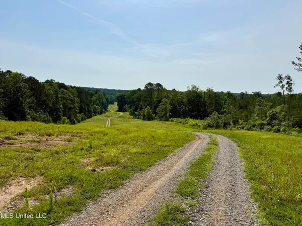 $649,000 | 385 Albert McMillin Road, Louisville, MS 39339
