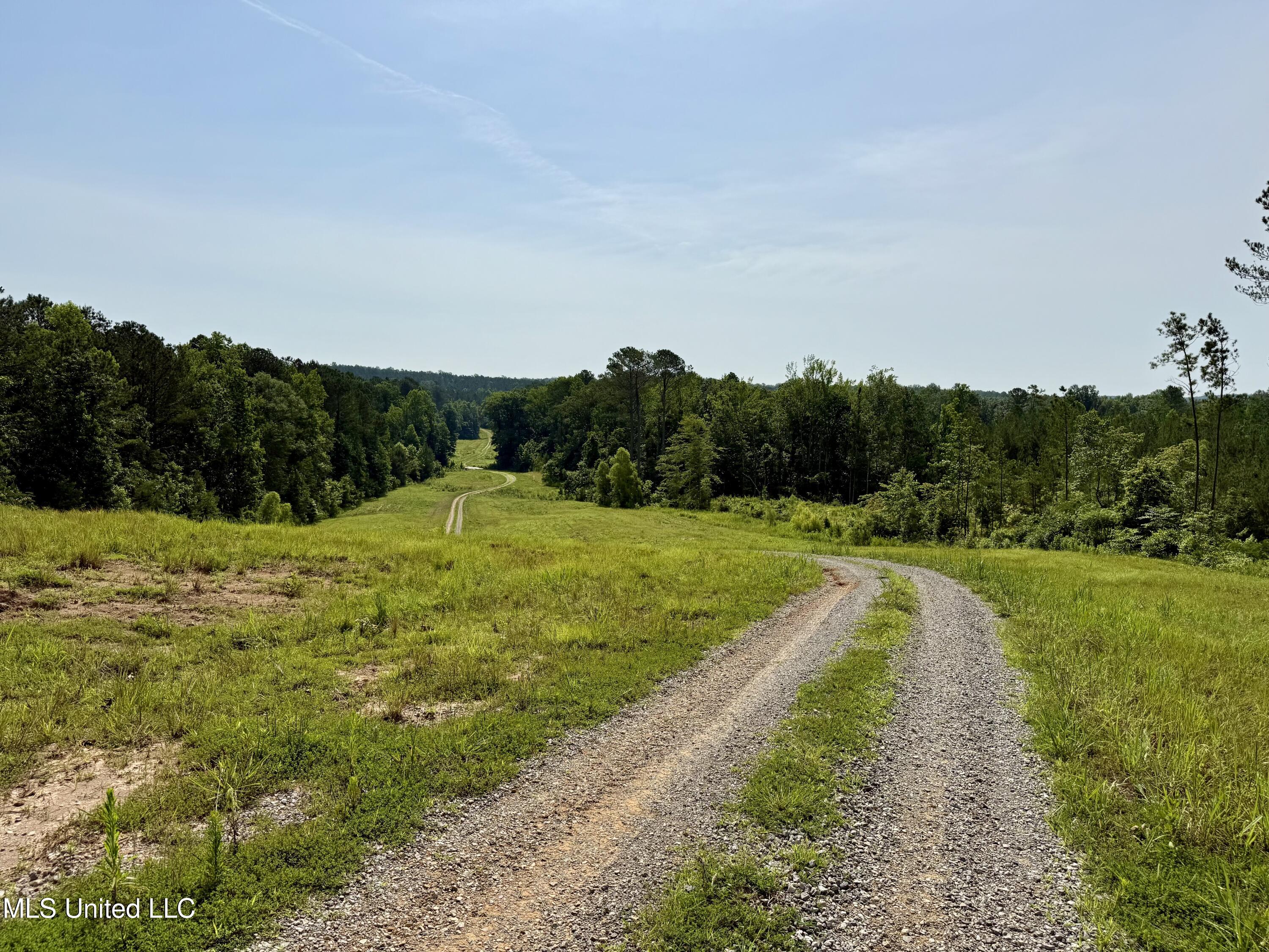 385 Albert McMillin Road Louisville, MS 39339 - Photo 7 of 40 IMG_5779