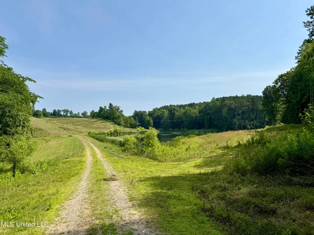 $649,000 | 385 Albert McMillin Road, Louisville, MS 39339