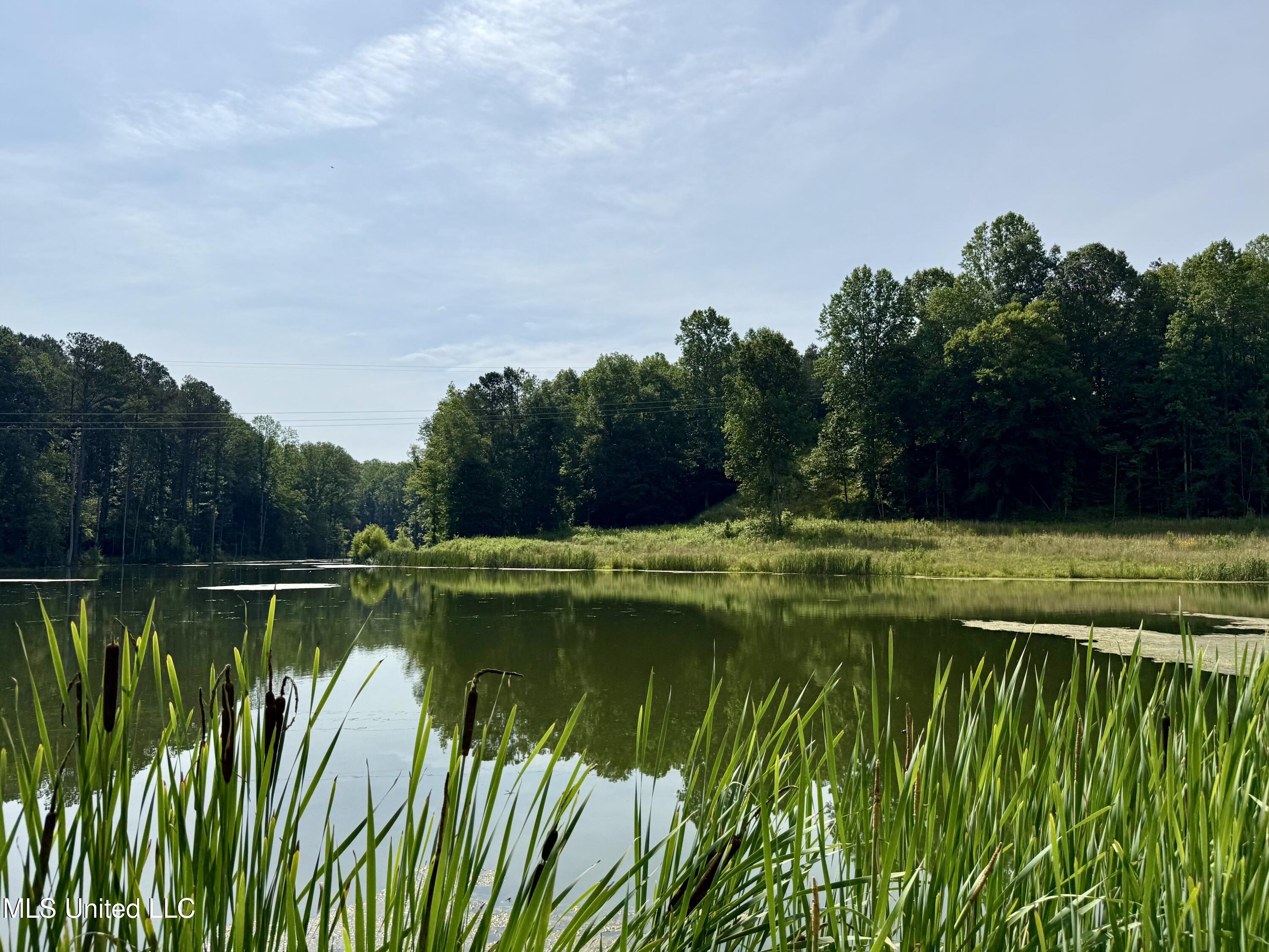 385 Albert McMillin Road Louisville, MS 39339 - Photo 9 of 40 IMG_5749