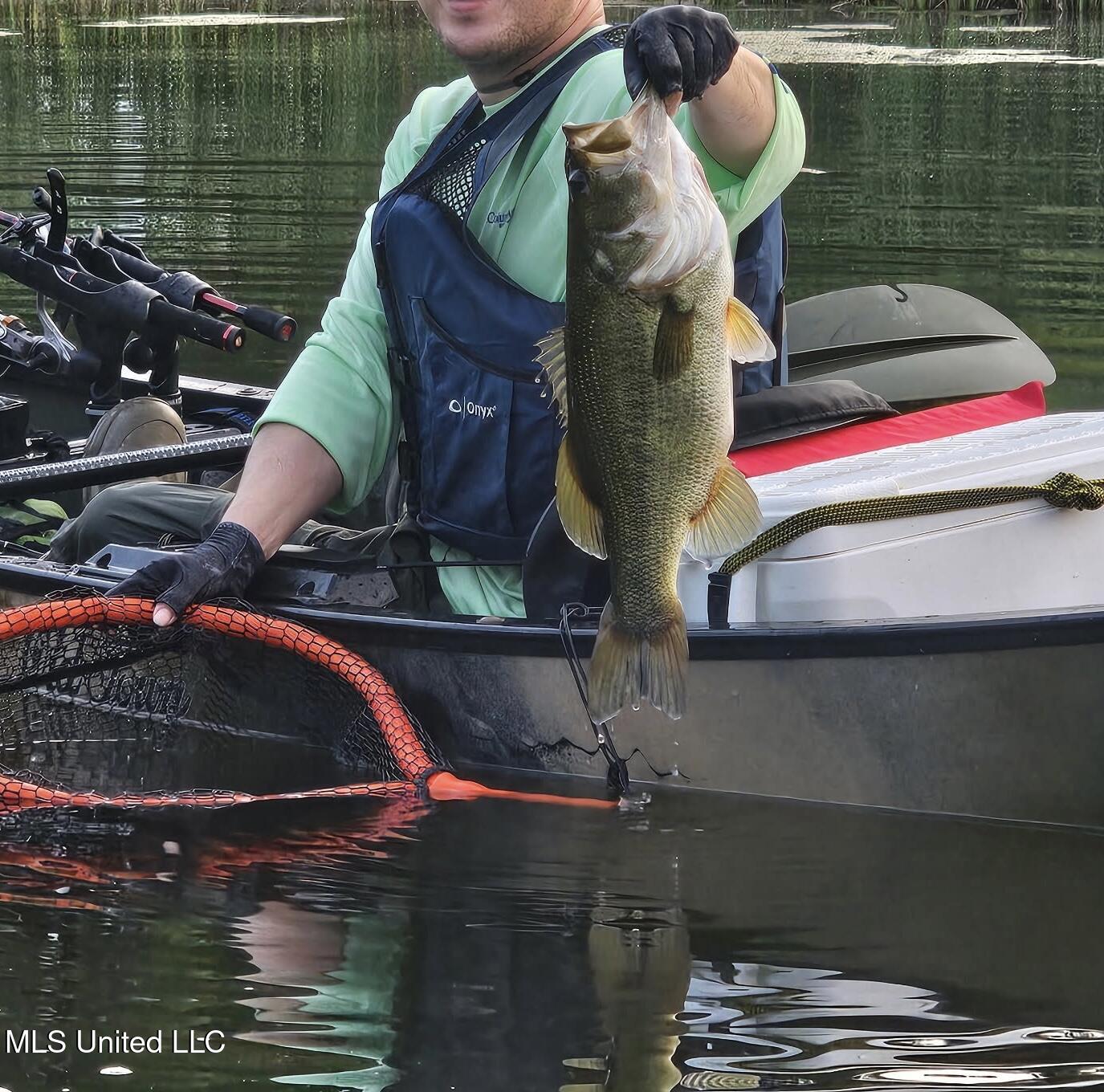 385 Albert McMillin Road Louisville, MS 39339 - Photo 10 of 40 1790236042998714228