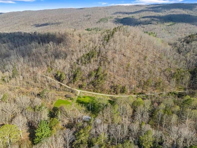 426 Davis Path Road Atkins, VA 24311 - Photo 3 of 56 Gallery Image 3