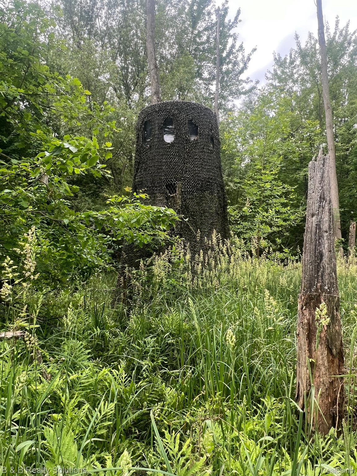 0 Ducker Road North Branch, MI 48461 - Photo 11 of 44 Gallery Image 11