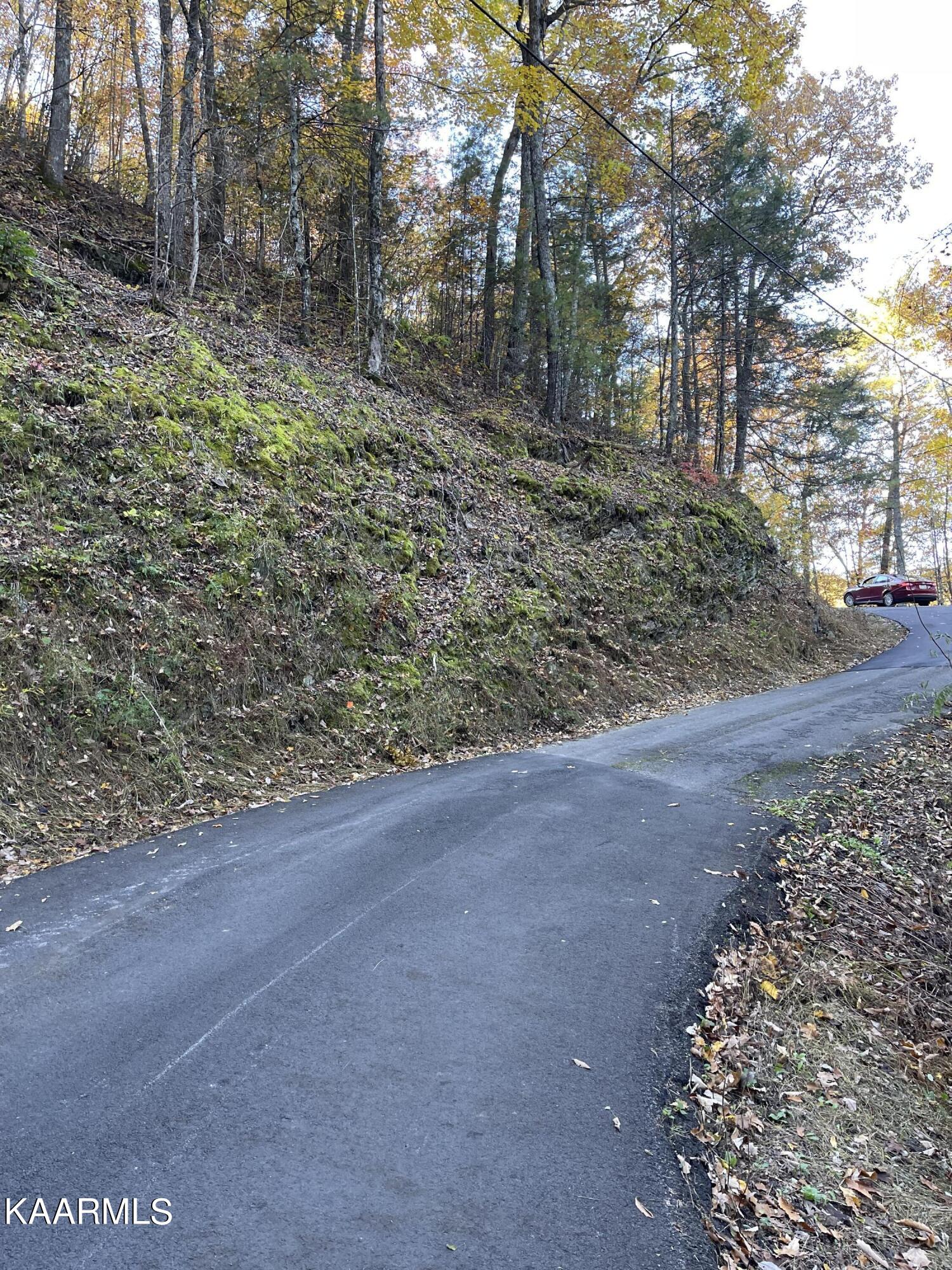 Headrick Lead Sevierville, TN 37862 - Photo 1 of 6 IMG_1710