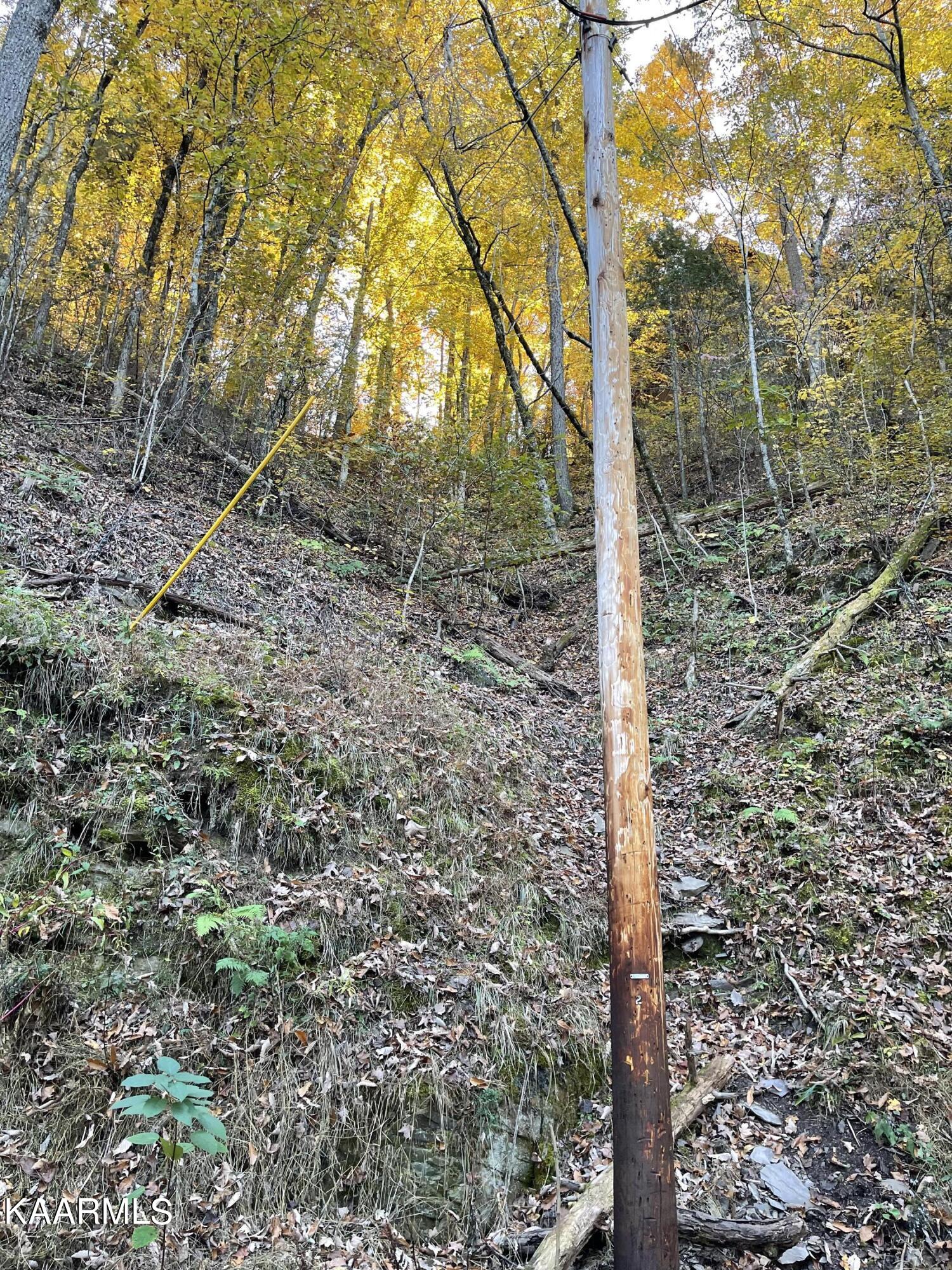 Headrick Lead Sevierville, TN 37862 - Photo 2 of 6 IMG_1712