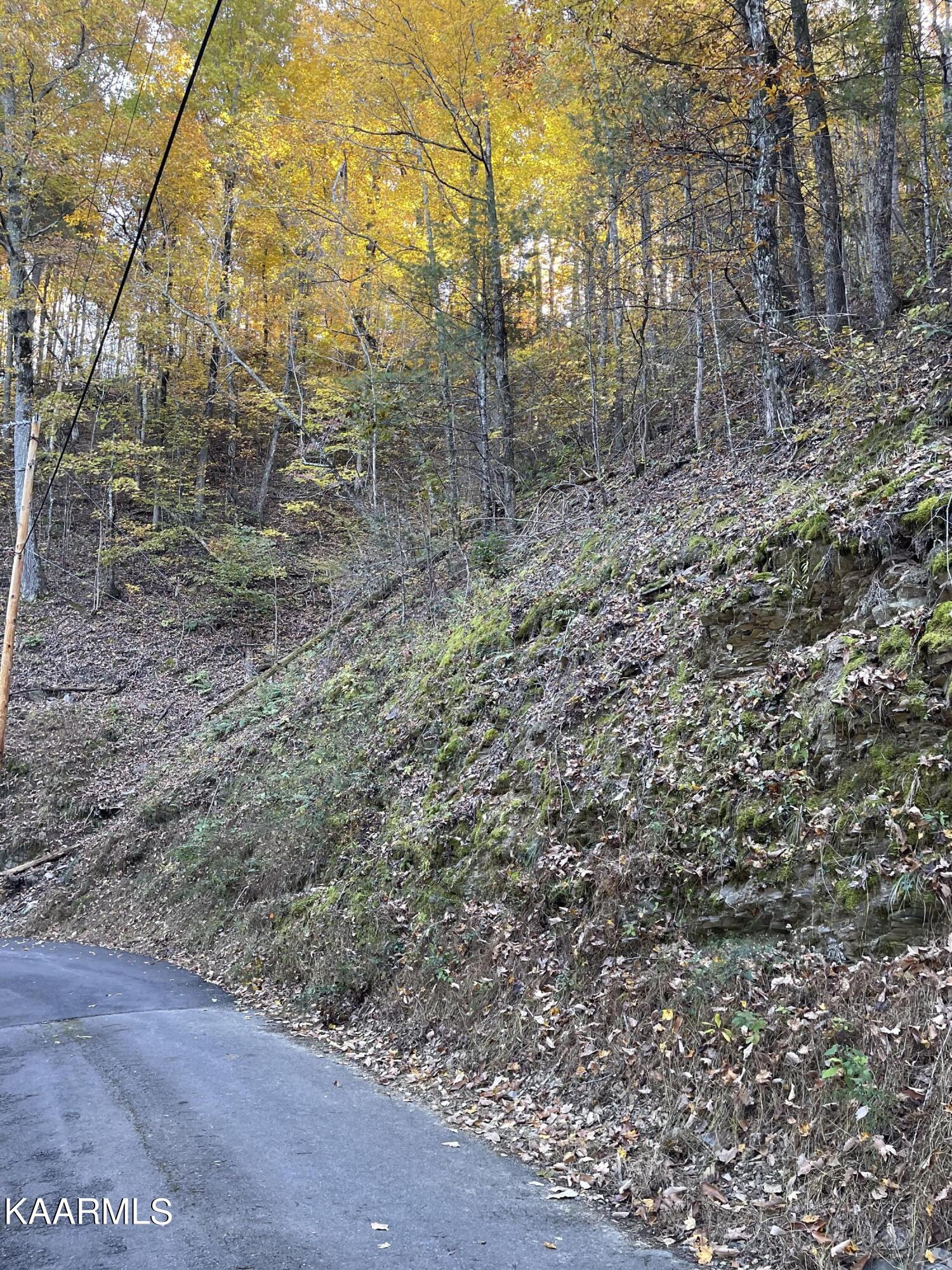 Headrick Lead Sevierville, TN 37862 - Photo 3 of 6 IMG_1722