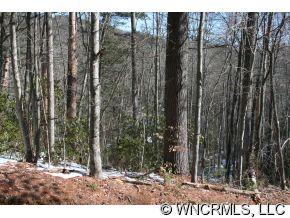 159 Pinnacle Road Brevard, NC 28712 - Photo 6 of 9 Gallery Image 6