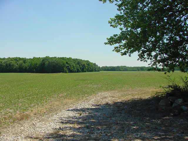 0 Longshore Road, Unit L21A Sunbury, OH 43074 - Photo 1 of 4