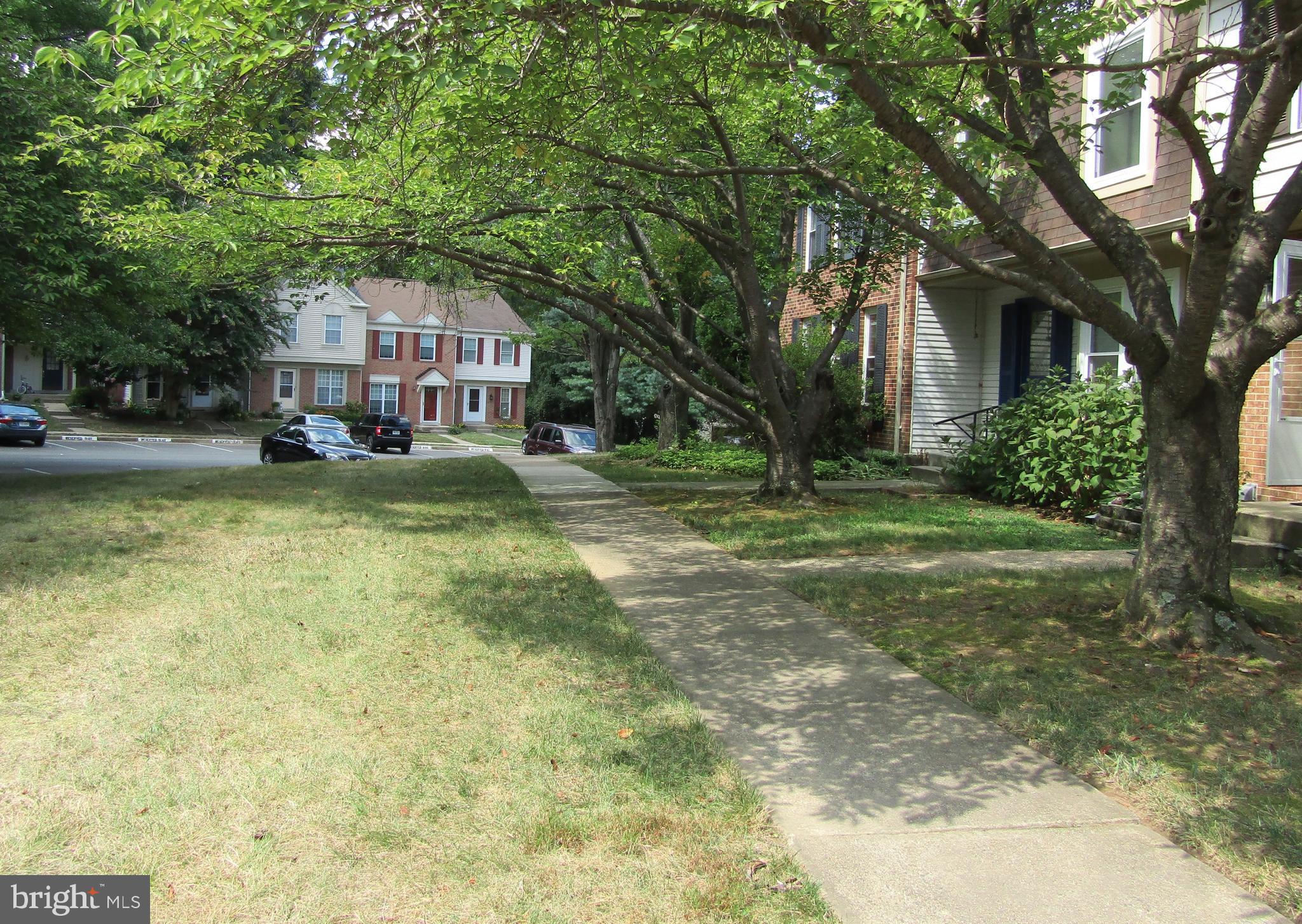 9141 Blarney Stone Drive Springfield, VA 22152 - Photo 23 of 35 Treed walkway