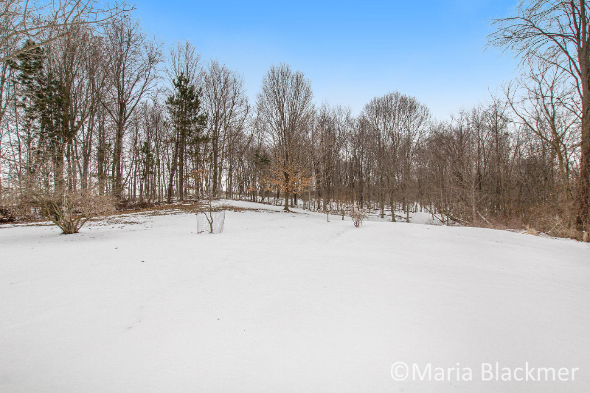 2548 Clyde Road Ionia, MI 48846 - Photo 22 of 24 IMG_5639