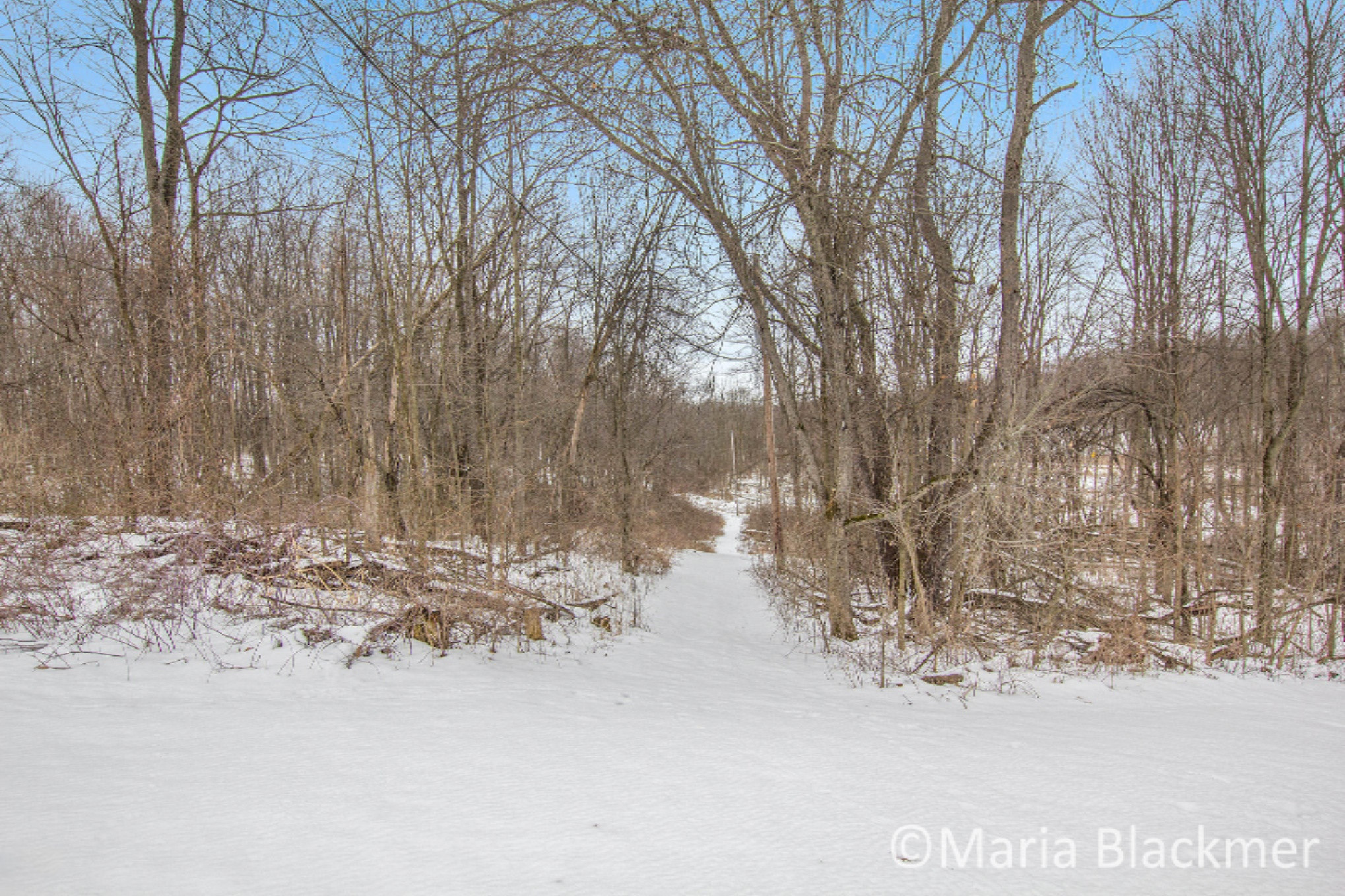 2548 Clyde Road Ionia, MI 48846 - Photo 23 of 24 IMG_5643