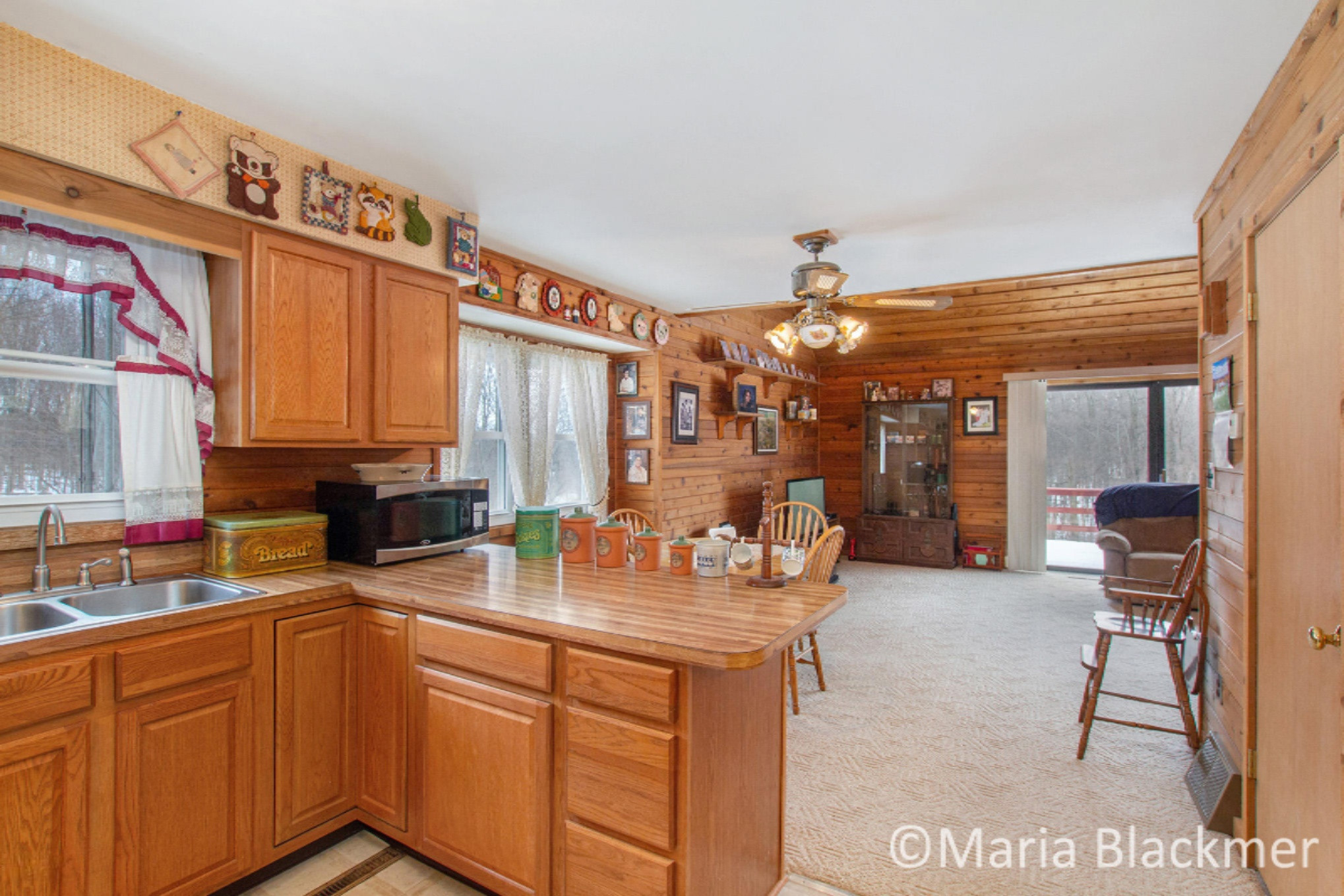 2548 Clyde Road Ionia, MI 48846 - Photo 8 of 24 IMG_5603