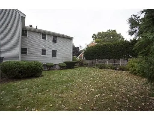 a view of backyard with potted plants and large tree