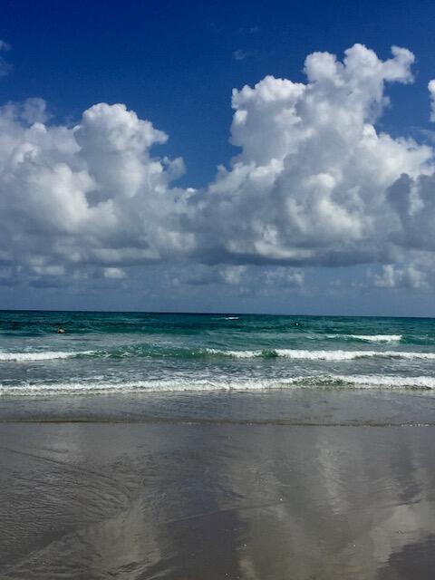 4161 U.S. Highway 1, Unit C3 Jupiter, FL 33477 - Photo 2 of 34 a view of a yard with a trampoline