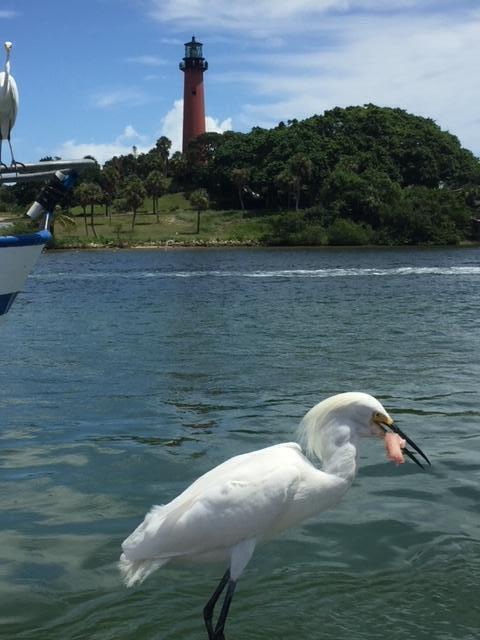 4161 U.S. Highway 1, Unit C3 Jupiter, FL 33477 - Photo 32 of 34 a view of lake