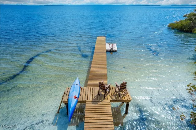 a view of a swimming pool with a patio and a garden