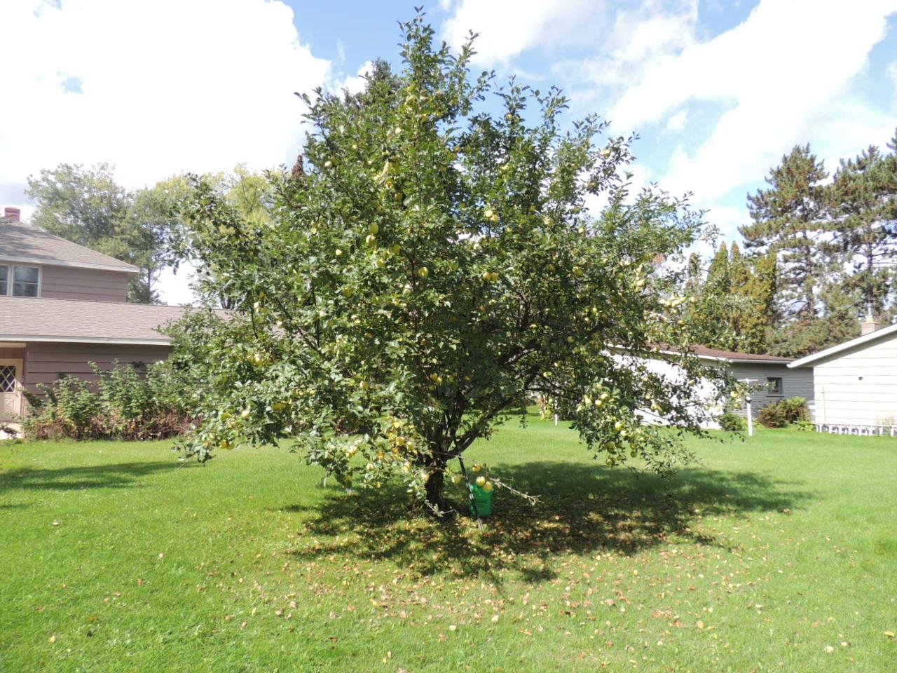 825 Langlade Road Antigo, WI 54409 - Photo 26 of 30 Gallery Image 26