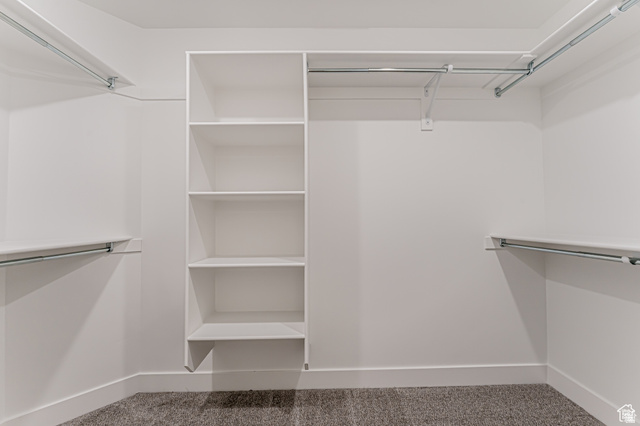 4774 Alder Drive Mapleton, UT 84664 - Photo 15 of 27 Walk in closet with carpet