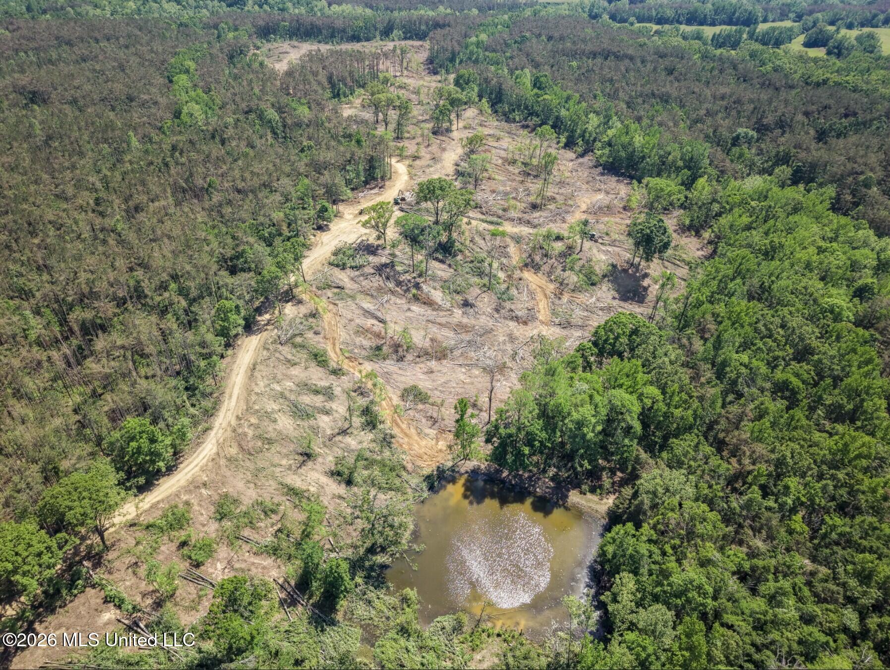 Shook Road Cascilla, MS 38920 - Photo 5 of 15 5