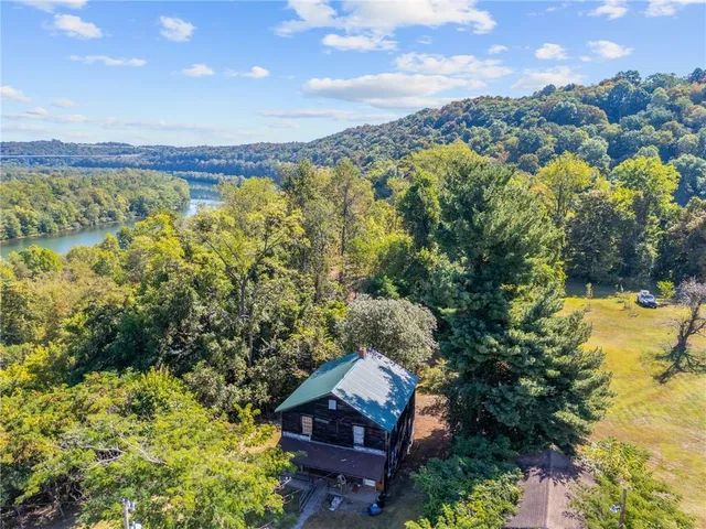 view of a yard with plants