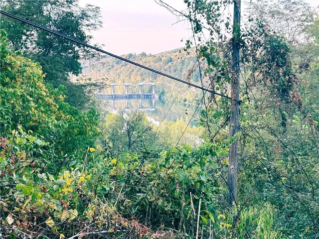 $33,990 | 210 Melrose Street, East Millsboro, PA 15433