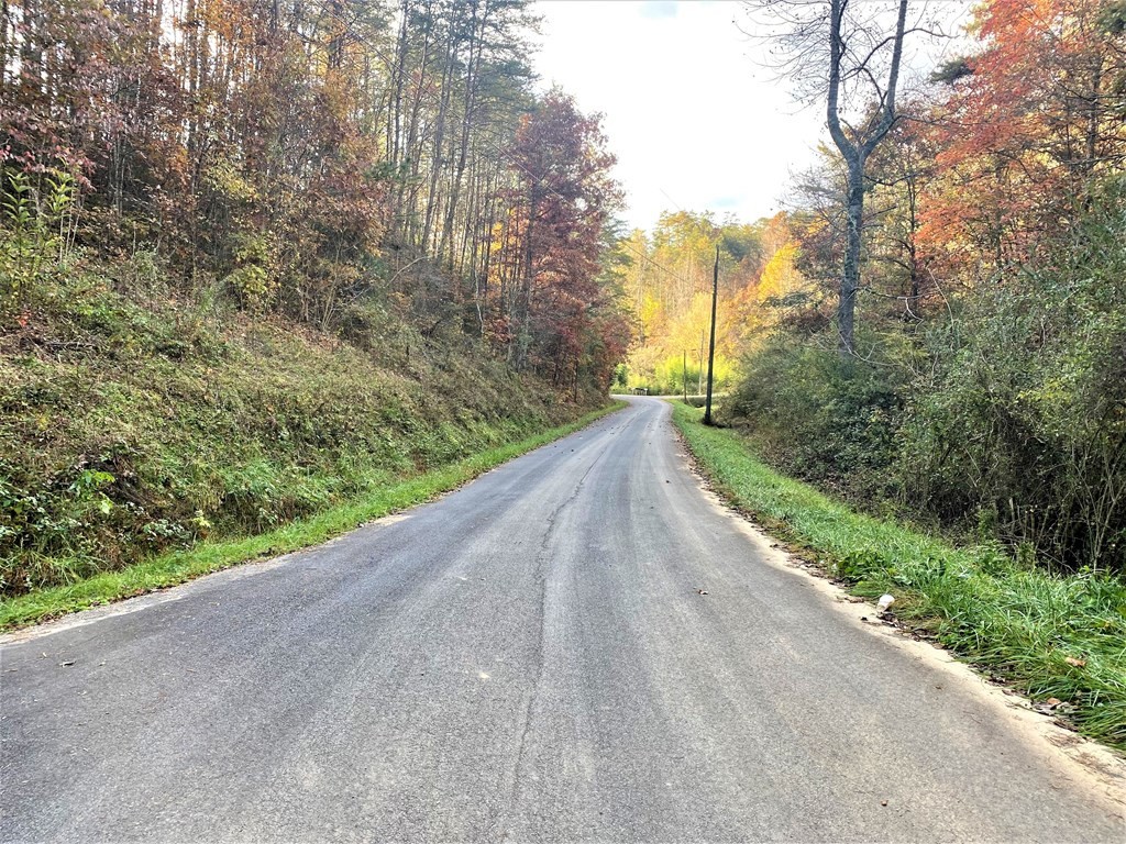 0 Maples Branch Road Sevierville, TN 37876 - Photo 8 of 9