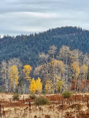 $329,000 | 3390 Spirit Rdg Way, Rice, WA 99167